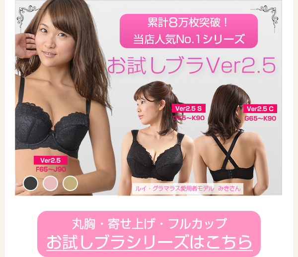>　お試しブラシリーズはこちら