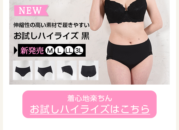>　お試しハイライズ