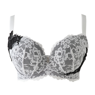 インコントロブラ（SP580）